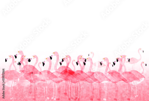 Fototapeta Tło karty Rooster Flamingo nowego roku