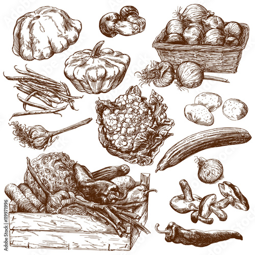 Vegetables. Hand drawn set.