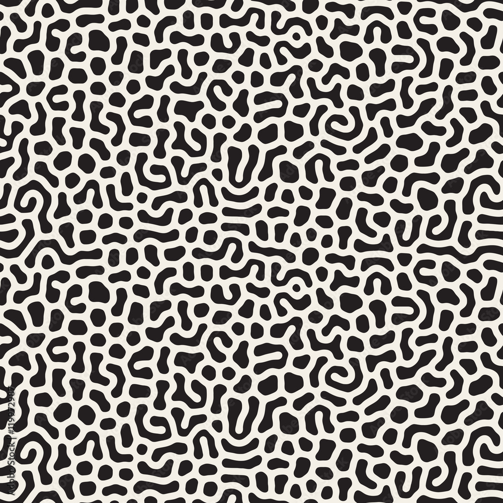 Obraz premium Vector Seamless Black and White Organic Lines Pattern