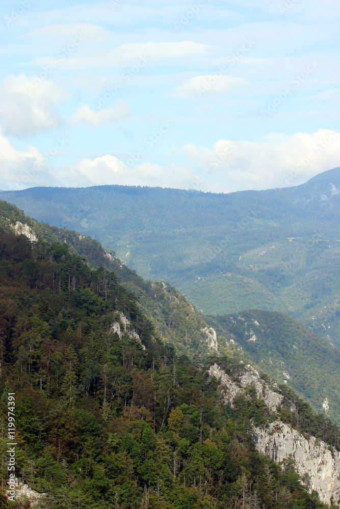 Tara mountain landscape Serbia Europe