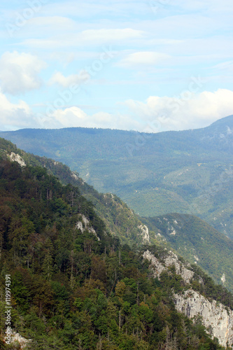 Tara mountain landscape Serbia Europe