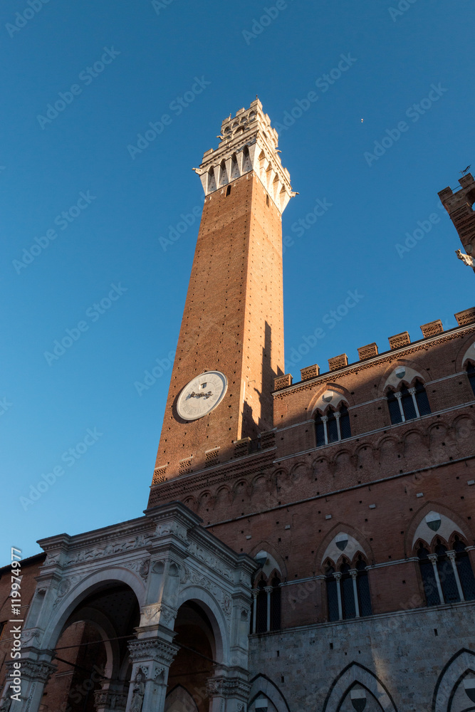 Fototapeta premium Torre e campanile del Mangia