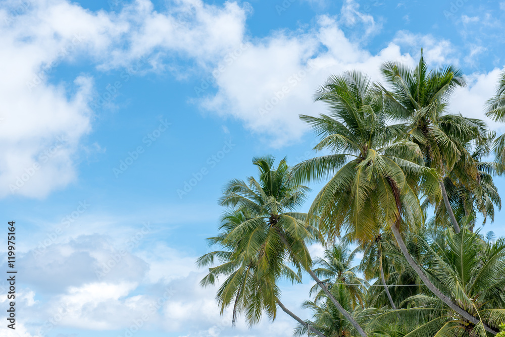Fototapeta premium Blauer Himmel im Paradies 