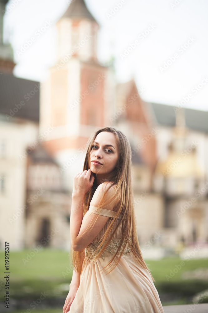 Fototapeta premium Girl in luxurious long dress on street of old town