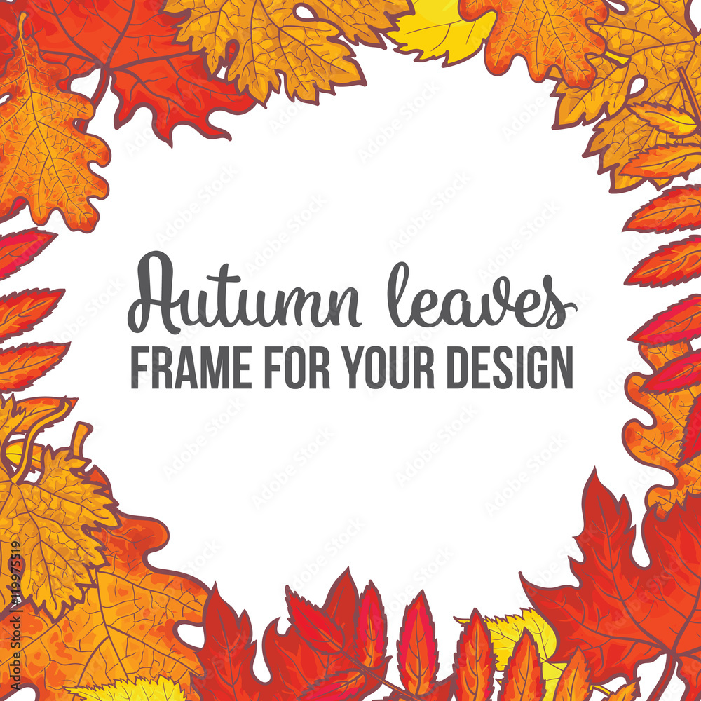 Round frame with fall leaves, sketch style vector illustration isolated on white background. Red, yellow and orange maple, aspen, oak and rowan autumn leaves as a round frame