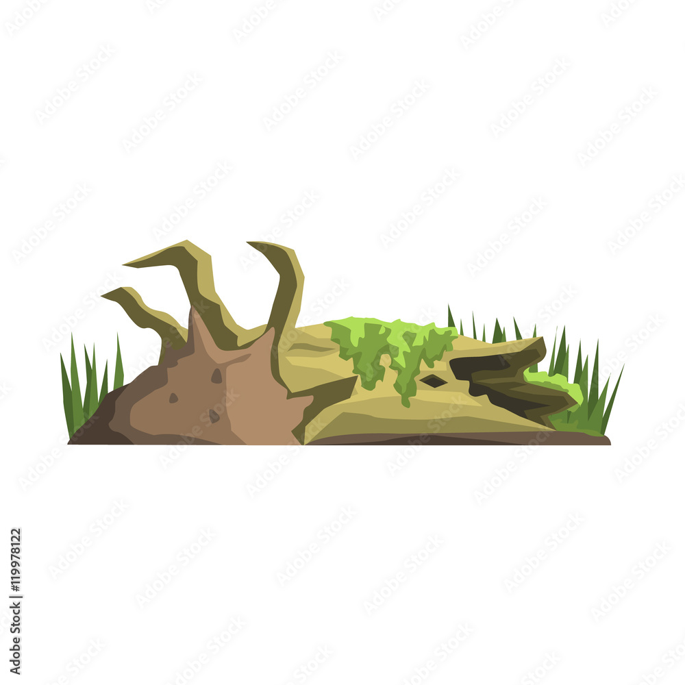 Fototapeta premium Decaying Tree Trunk In Swamp Jungle Landscape Element