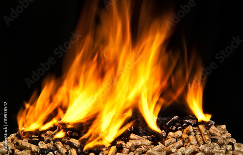 wood pellet burns on black background. eco sustainable alternative fuel