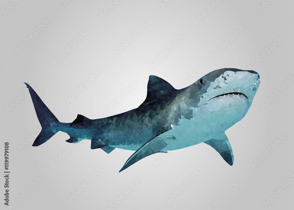 Fototapeta premium Shark swimming and looking low poly vector