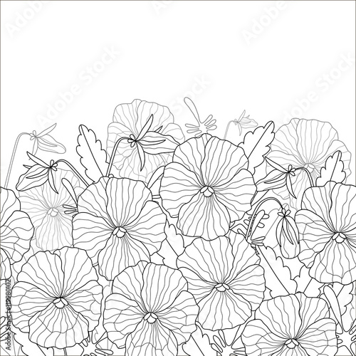 Floral pattern of beautiful pansies. Black and white pattern can be used for coloring.