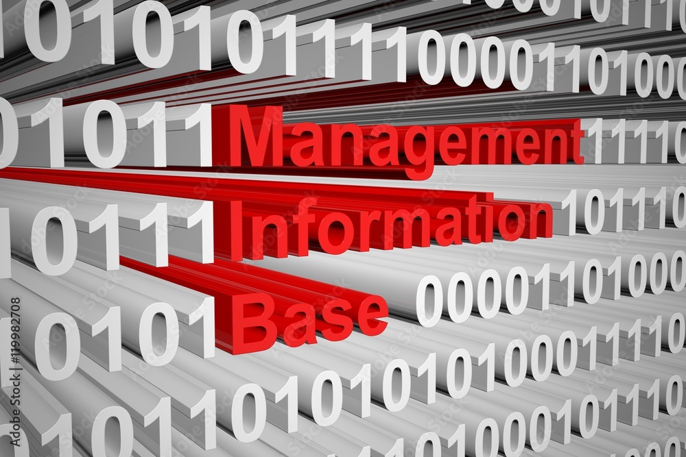 Management Information Base in the form of binary code, 3D illustration