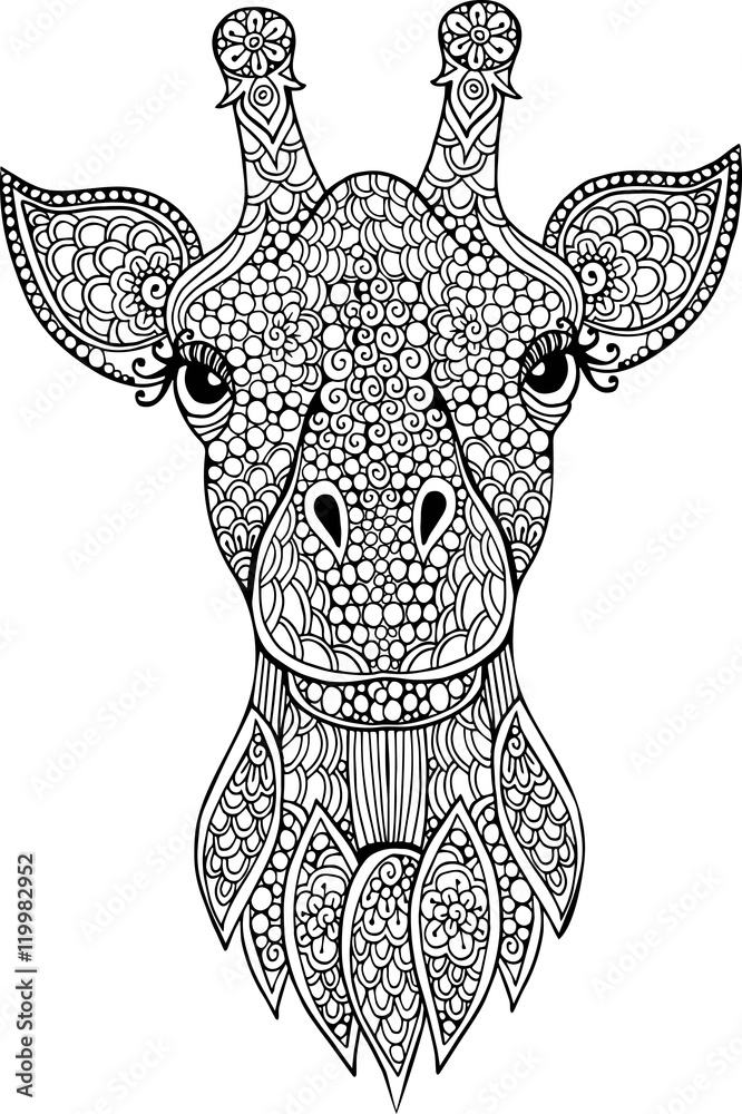 Fototapeta premium Hand drawn doodle giraffe head illustration for coloring book