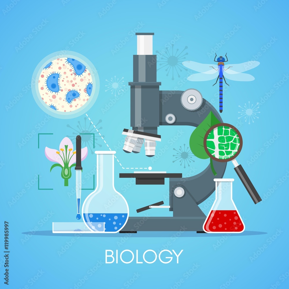 Biology science education concept vector poster in flat style design ...