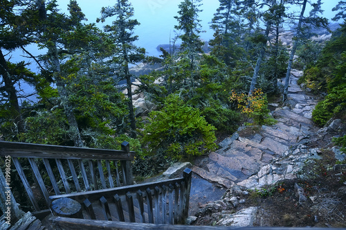 Wooden old staircase leading to the cliff by the ocean. The path of the  stones around a large pine trees. cloudy  frowning autumn weather  fog  mystic atmosphere. Acadia National Park. Maine. USA.  