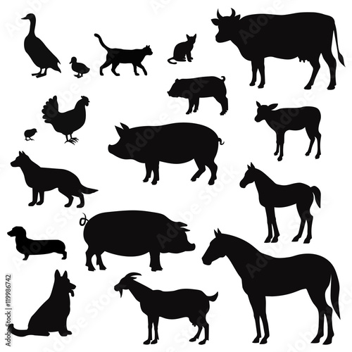 Vector farm animals silhouettes isolated on white. Livestock and poultry icons. Rural landscape with trees  plants 
