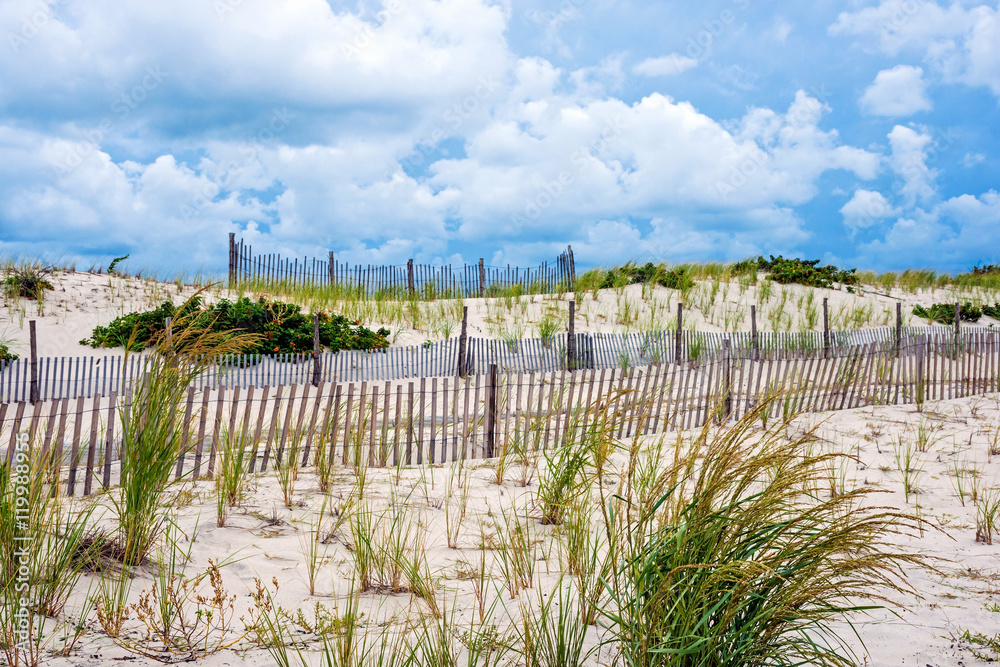 Fencing Along the Dunes