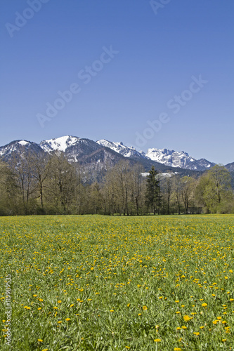 Frühling im Isarwinkel