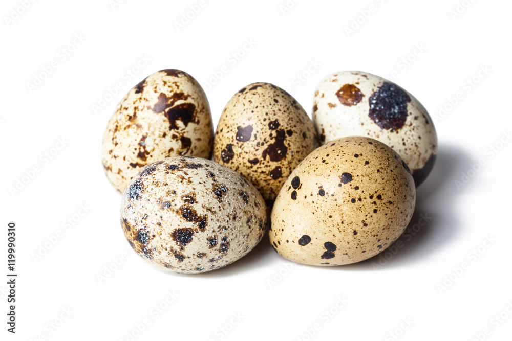 Quail eggs are isolated on a white background Quail eggs are isolated on a white background