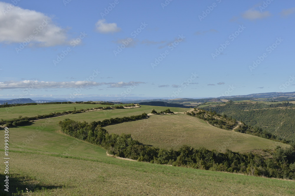 causse de novis