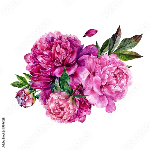 Naklejka na ścianę Ręcznie rysowane piwonie akwarela