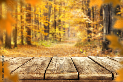 autumn background  © magdal3na