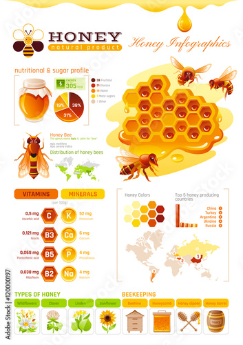 Bee honey logo icon with cartoon flat honeybee, text lettering on color background. Modern elegant style, beekeeping food concept, wildlife abstract template.