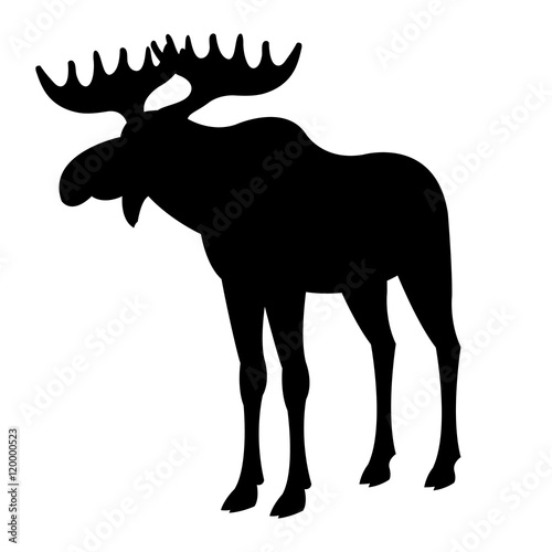 adult moose silhouette  black vector illustration
