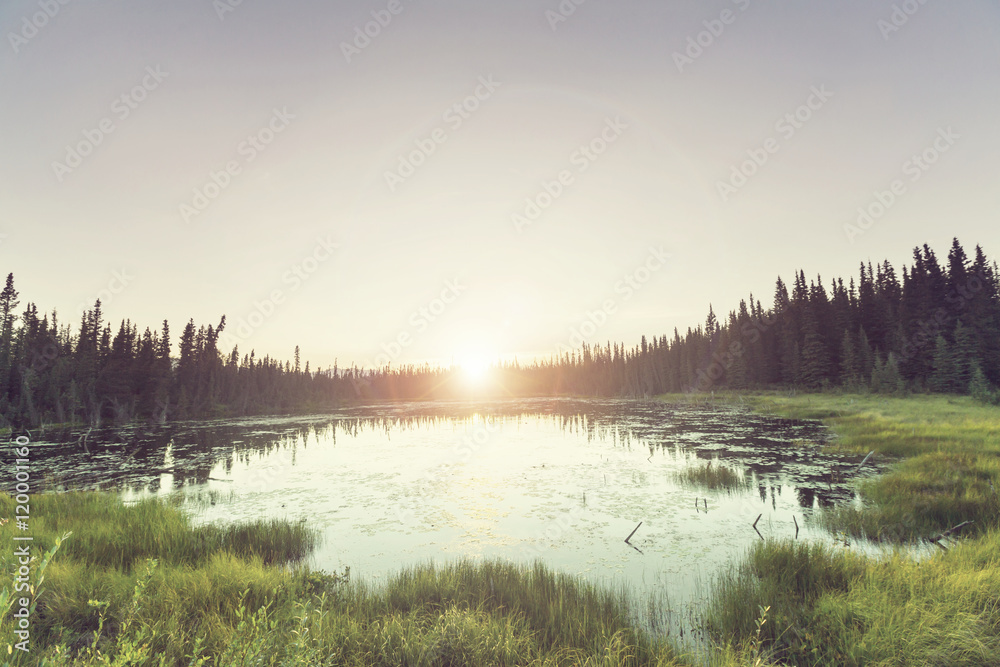 Fototapeta premium Lake in Alaska