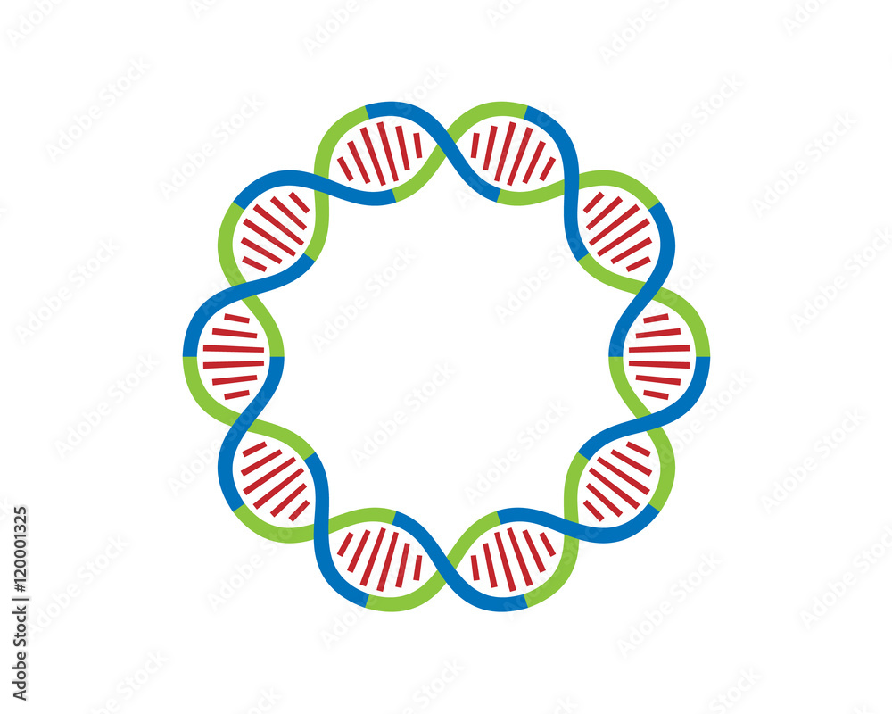 DNA strands Loop 10 parts DNA strands Loop 10 parts