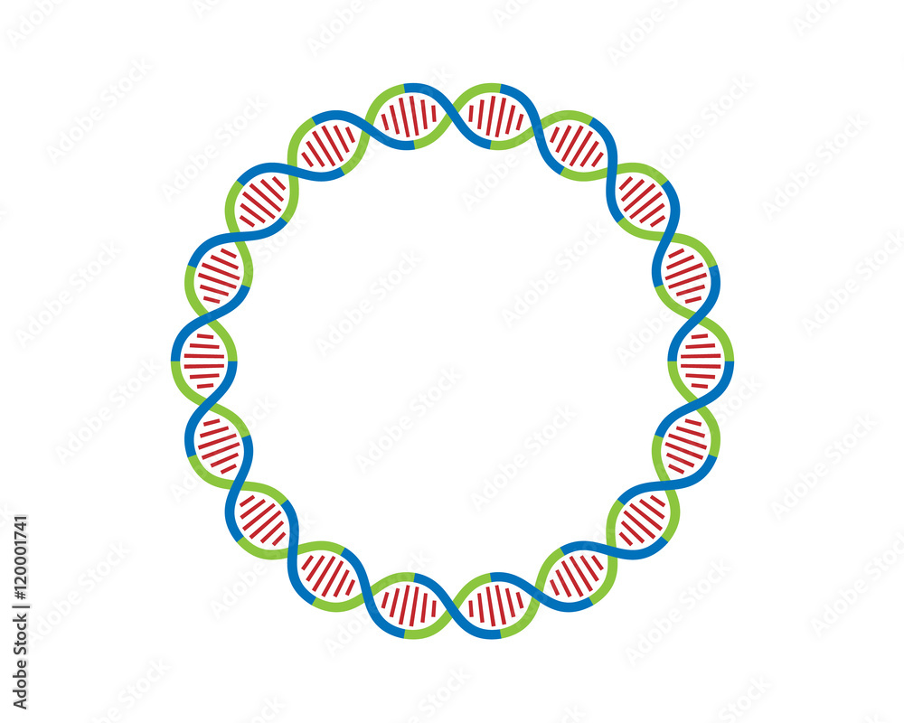 Obraz premium DNA strands Loop 18 parts