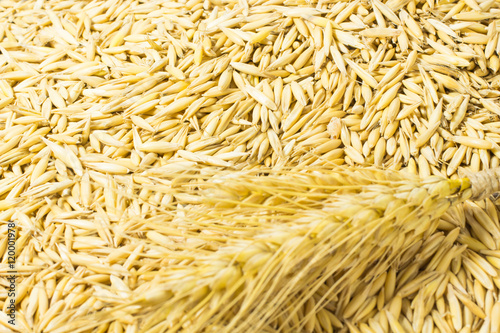 Grain oats close up. Top view