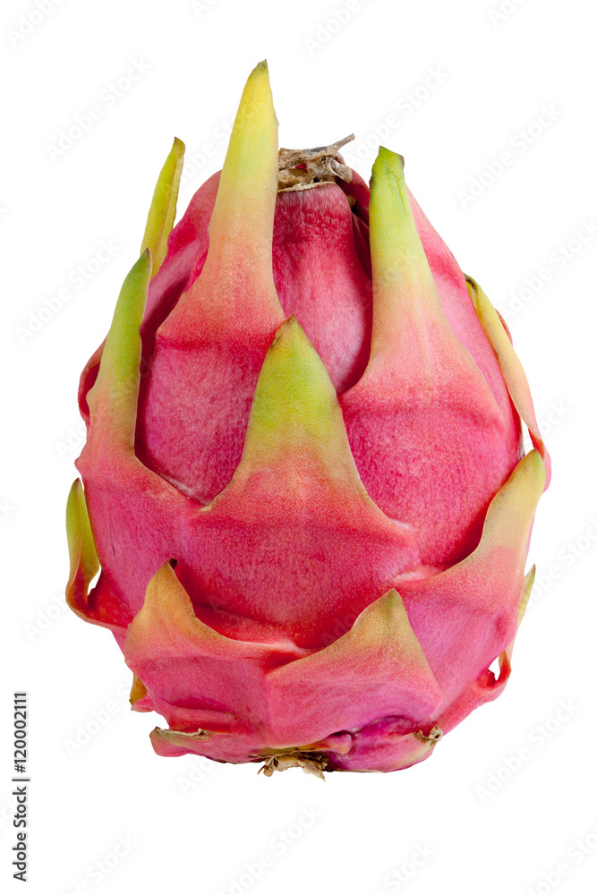 Dragon fruit isolated Dragon fruit isolated