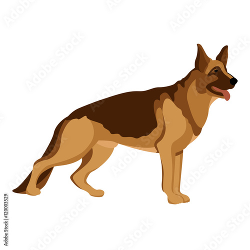 German Shepherd Dog Flat realistic style