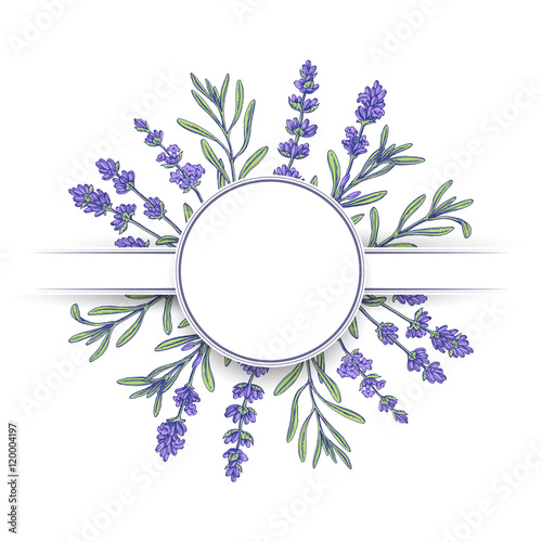 Hand drawn lavender banner, invitation card.