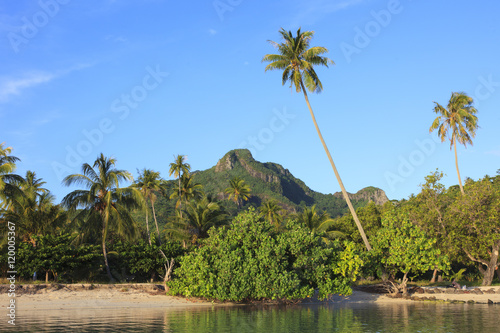 Polynesian landscape
