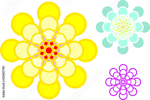 Flowers dahlias of several colors and size