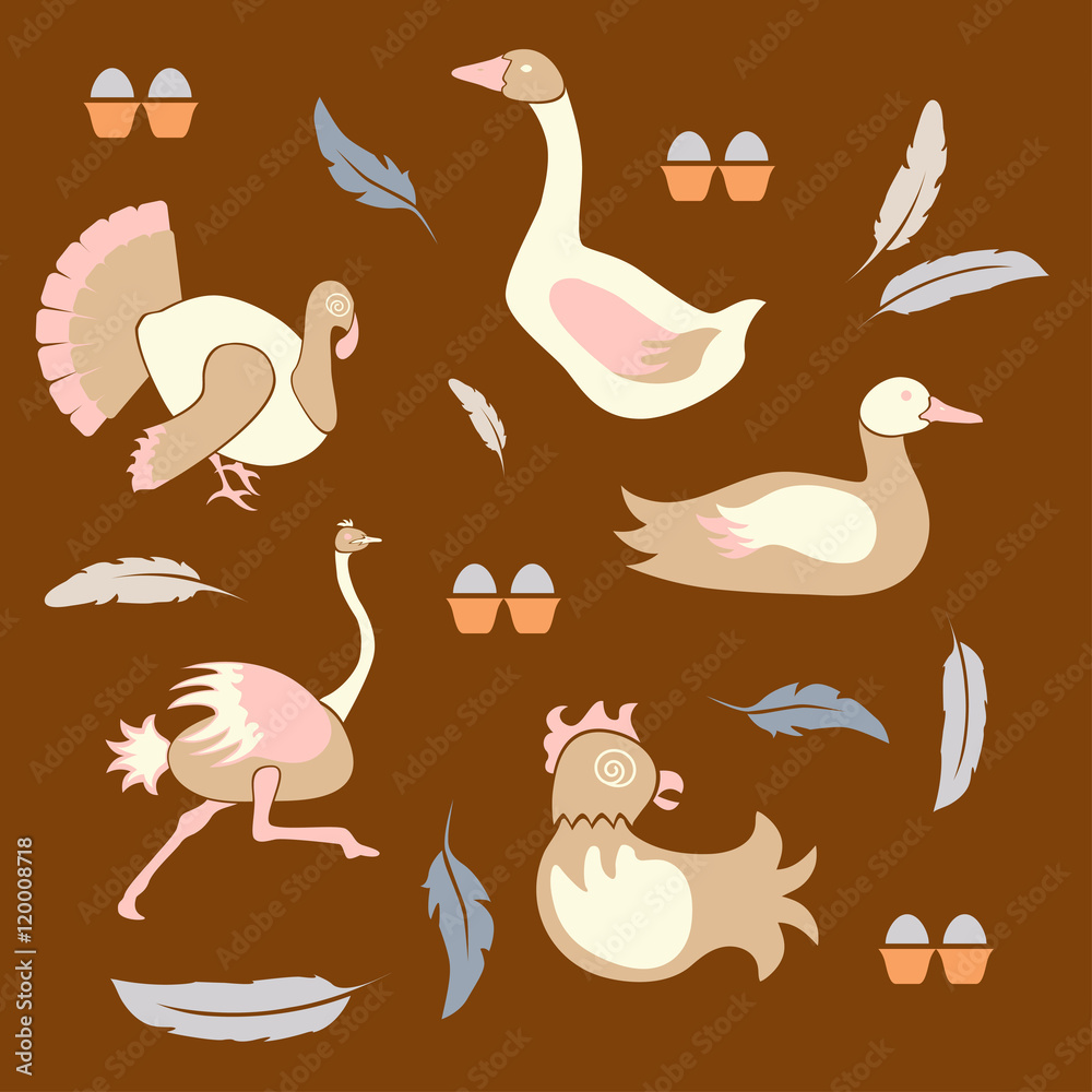 Set poultry farm birds Set poultry farm birds