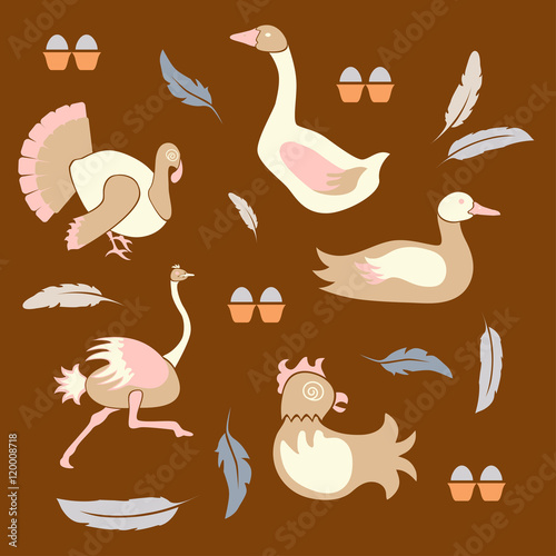 Set poultry farm birds