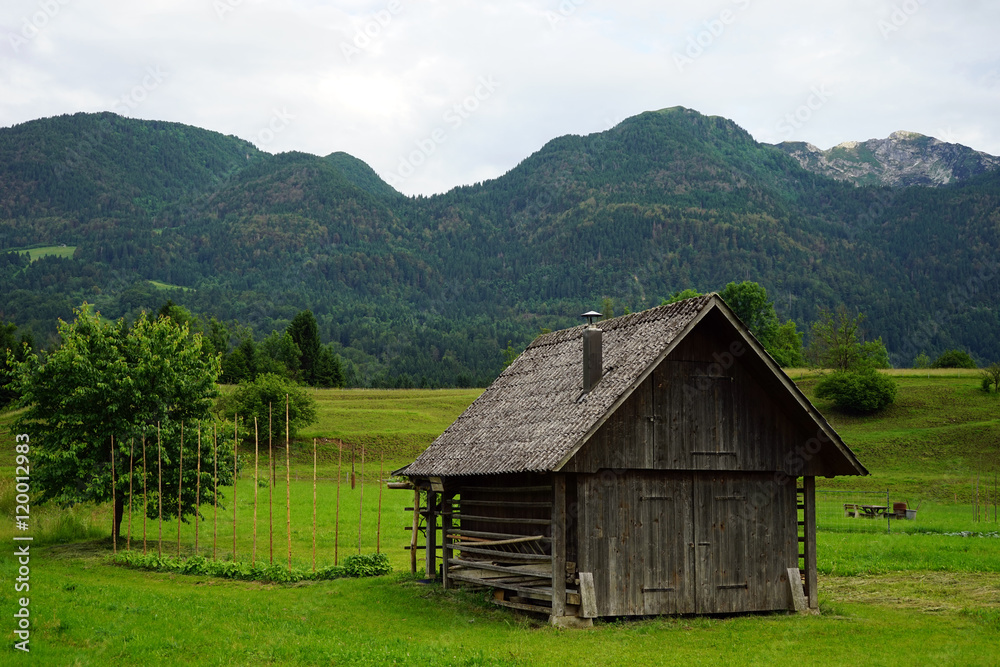 Wooden shed
