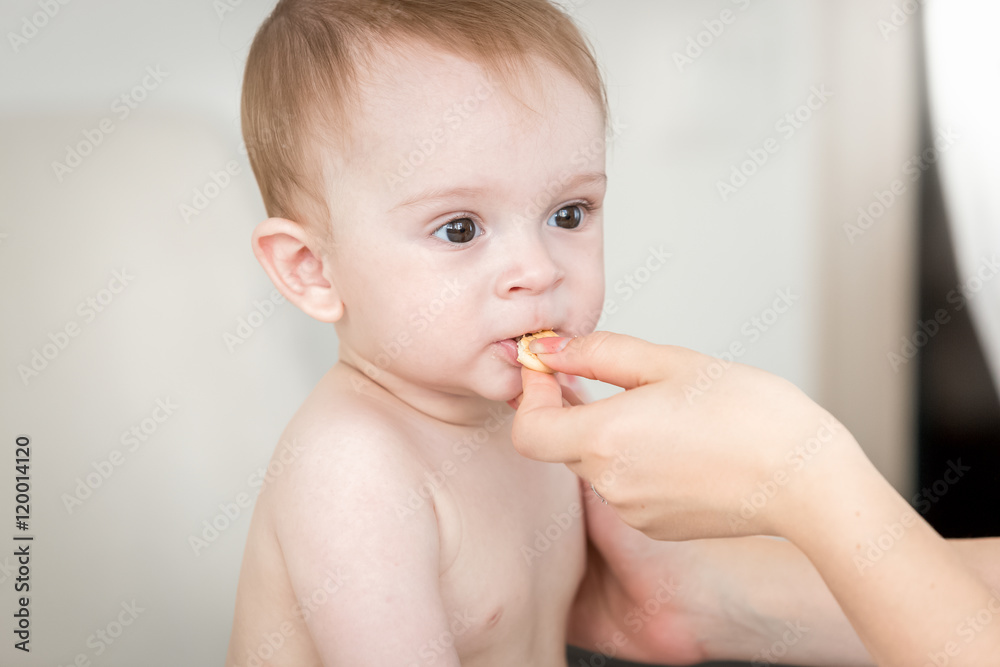 Closeup of mothers hand giving her baby son a biscuit Closeup of mothers hand giving her baby son a biscuit