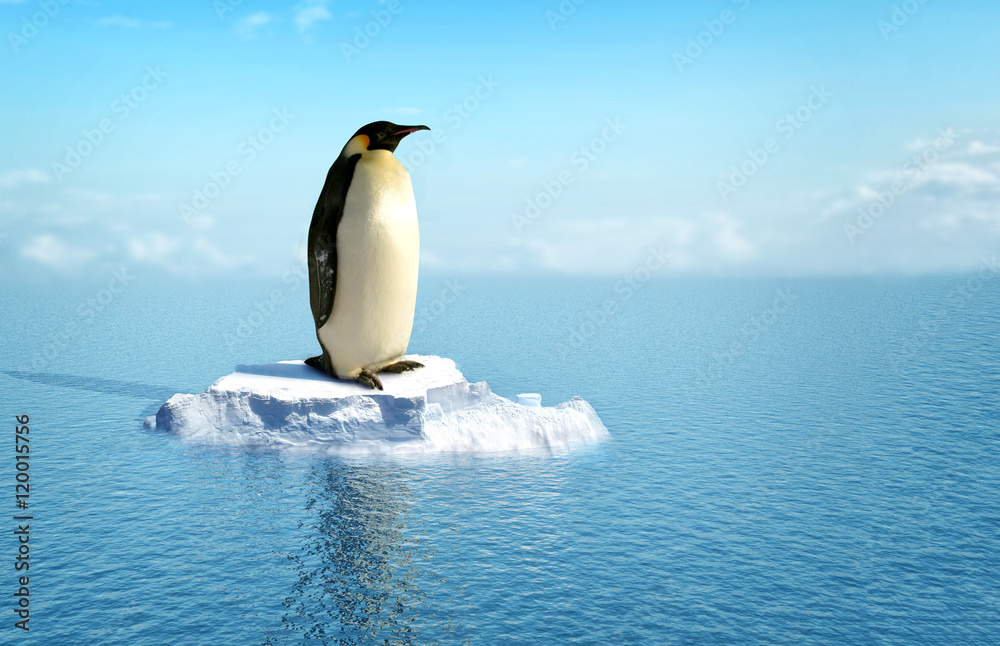 Naklejka premium pojedynczy pingwin na kawałku lodu