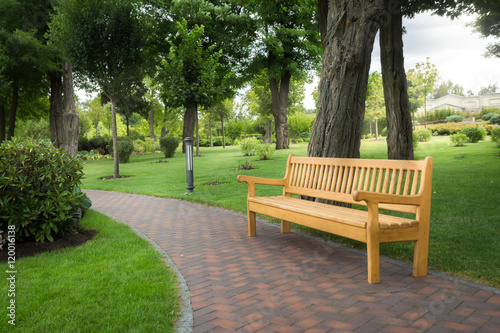 Wooden bench under trees at beautiful park