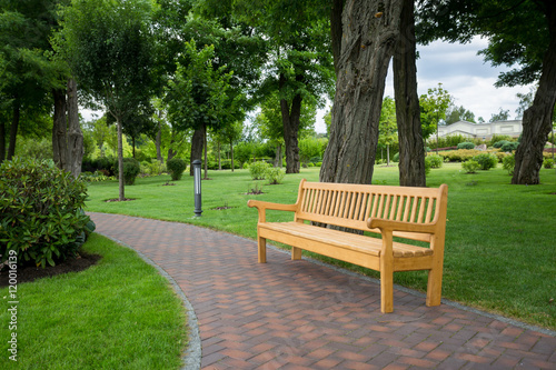 Wooden bench on path at park