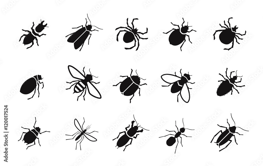 Pests and various insects set vector icons
