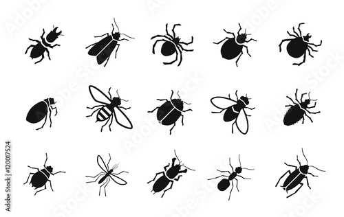 Pests and various insects set vector icons photo
