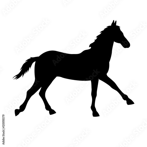 Black horse silhouette isolated vector illustration