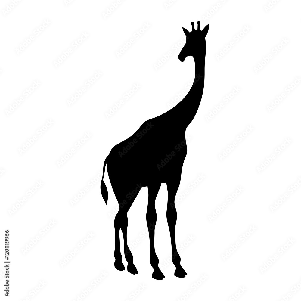 Fototapeta premium Giraffe black silhouette vector illustration isolated