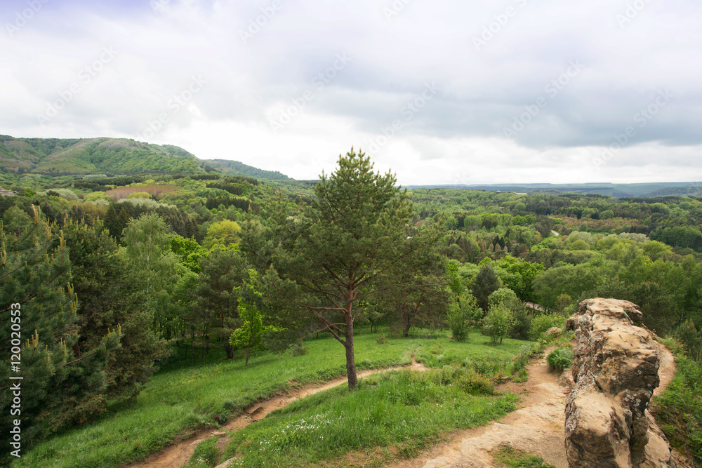 beautiful view, forest and hills