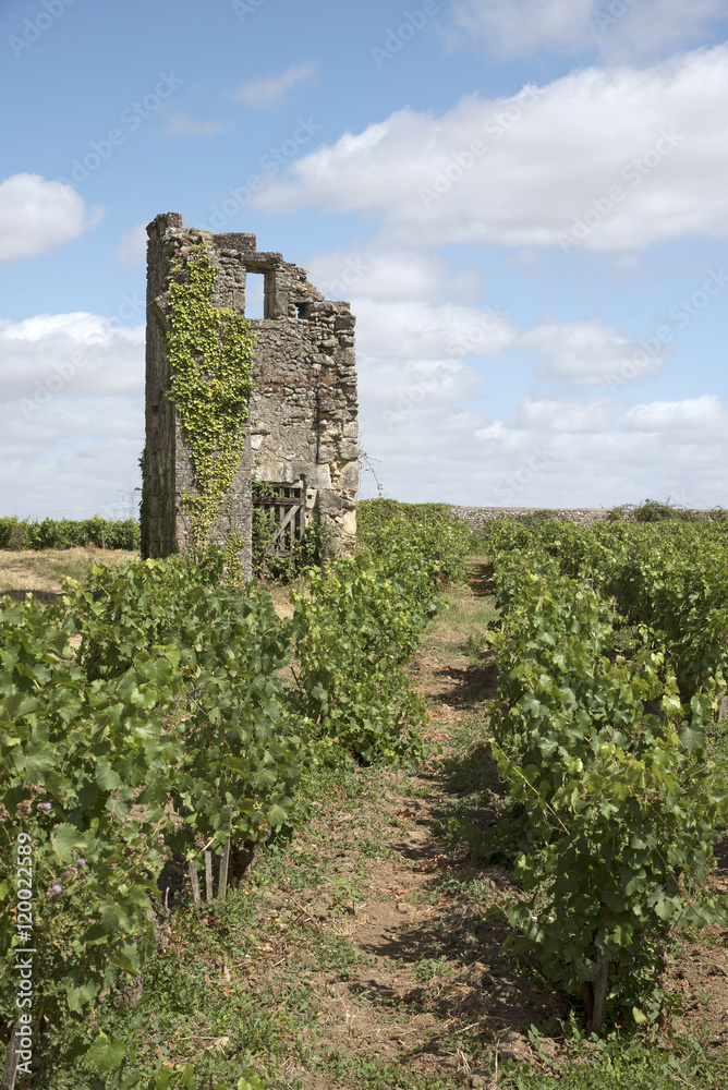 Vouvray France - August 2016 - A ruined building surrounded by vines at Vouvray in the Indre et Loire region of France