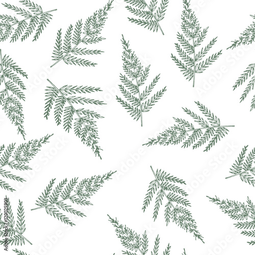 Seamless pattern with ferns. Unusual natural texture. Vector wallpaper with plants created for your design.
