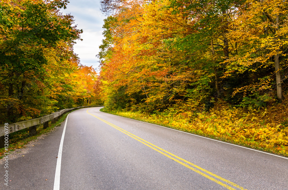Fototapeta premium Deserted Mountain Road on a Cloudy Fall Day